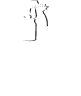 Oficina Rial